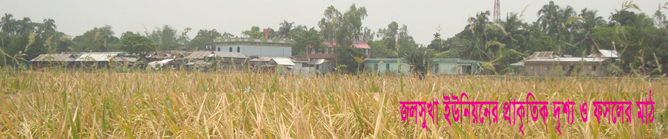 জলসুখা ইউনিয়নের প্রাকৃতিক দৃশ্য