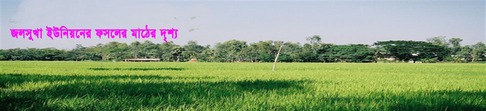 জলসুখা ইউনিয়ন পরিষদ