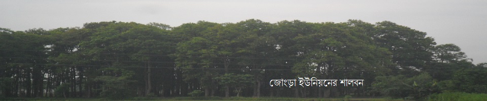 জোংড়া ইউনিয়নের শালবন