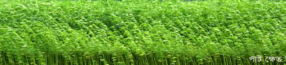 জোড়খালী ইউনিয়ন পরিষদ