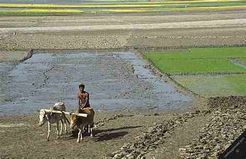 ভূমি অফিস