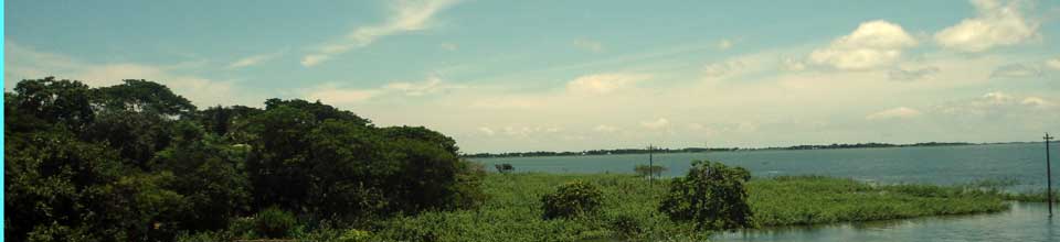 জয়শ্রী