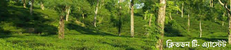 ৪নং জয়চন্ডী ইউনিয়ন পরিষদ