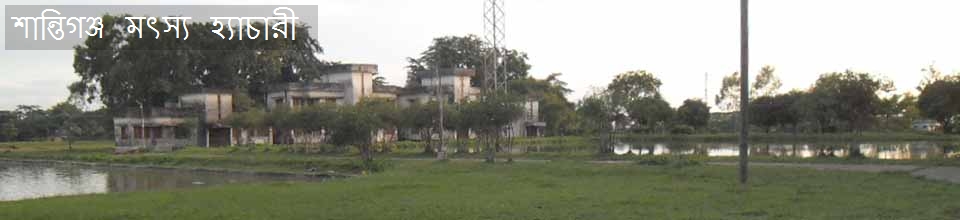 শান্তিগঞ্জ মৎস্য হ্যাচারী
