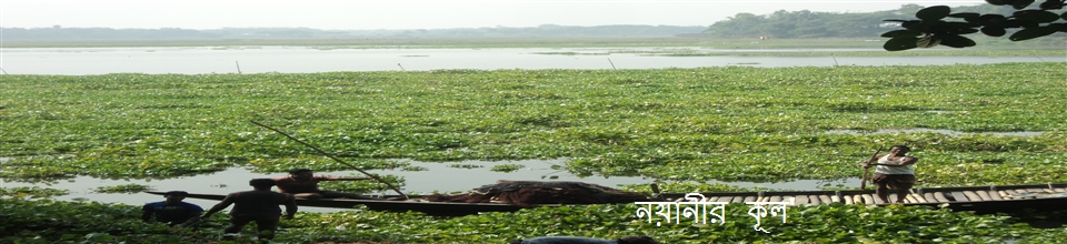 নয়নীর কূল