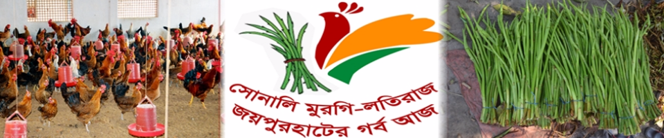 জেলা ব্রান্ডিং