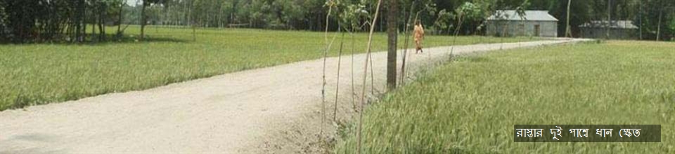 রাস্তার দুই পাশ্বে ধান ক্ষেত