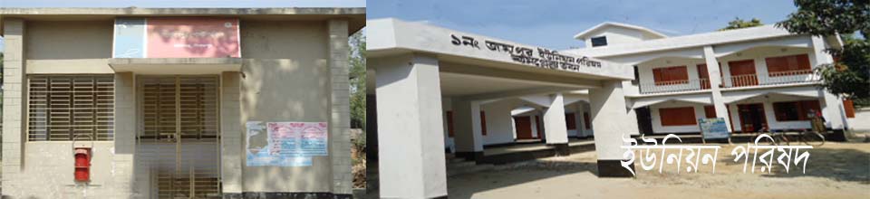 ইউনিয়ন পরিসদ