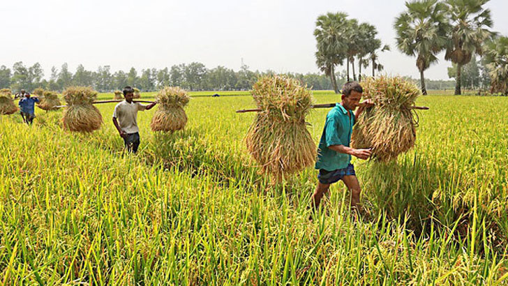 যারা যোগায় ক্ষুধার অন্য, আমরা আছি তাদের জন্য