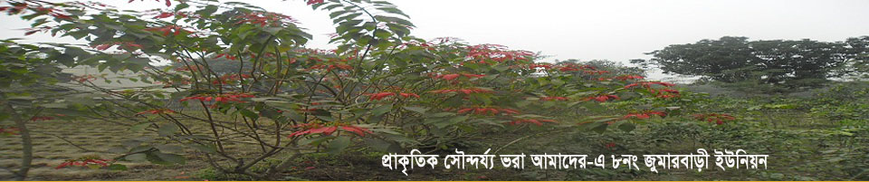 জুমারবাড়ী ইউনিয়ন পরিষদ