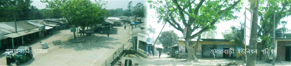 জুমারবাড়ী ঐতিহাসিক হাট ও বাজার ।