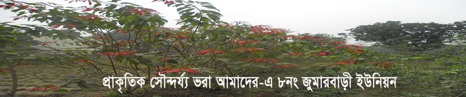 জুমারবাড়ী ইউনিয়ন পরিষদ