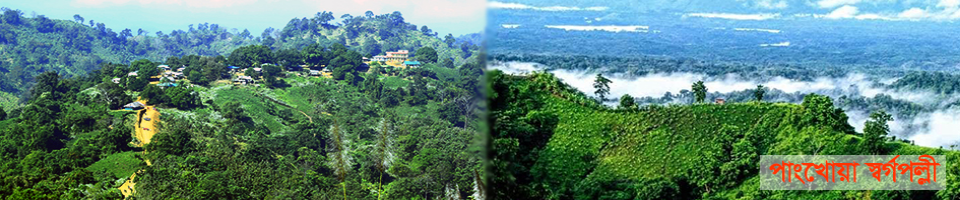 উপজেলা পরিষদ