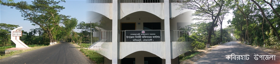 কবিরহাট উপজেলা