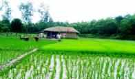 কৃষি ও প্রাণি সম্পদ