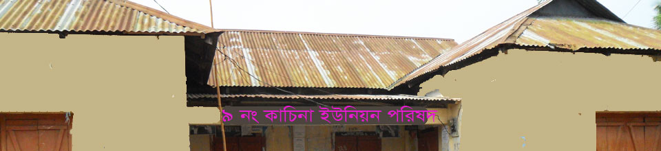 ৯নং কাচিনা ইউনিয়ন পরিষদ