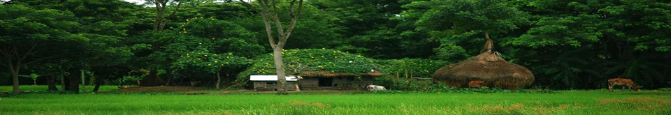 কচুয়া উপজেলা