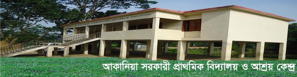 কচুয়া দক্ষিণ ইউনিয়ন পরিষদ