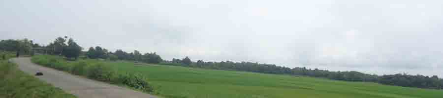 কাদিপুর ইউনিয়ন