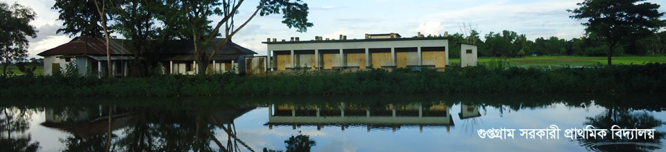 গুপ্তগ্রাম সরকারী প্রাথমিক বিদ্যালয়।