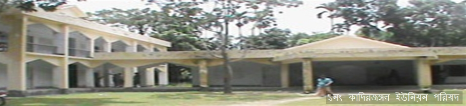 ইউনিয়ন পরিষদ