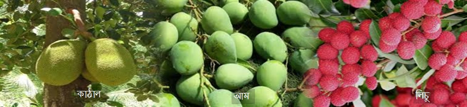 সেজেন ওয়ারী ফল সমূহ।