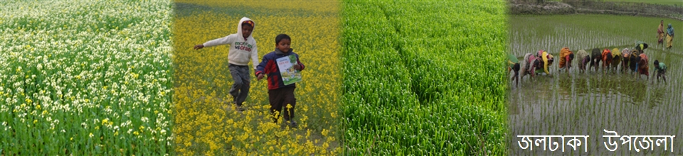 বন্যা কবলীত ডাউয়াবাড়ী ইউনিয়ন পরিষদ