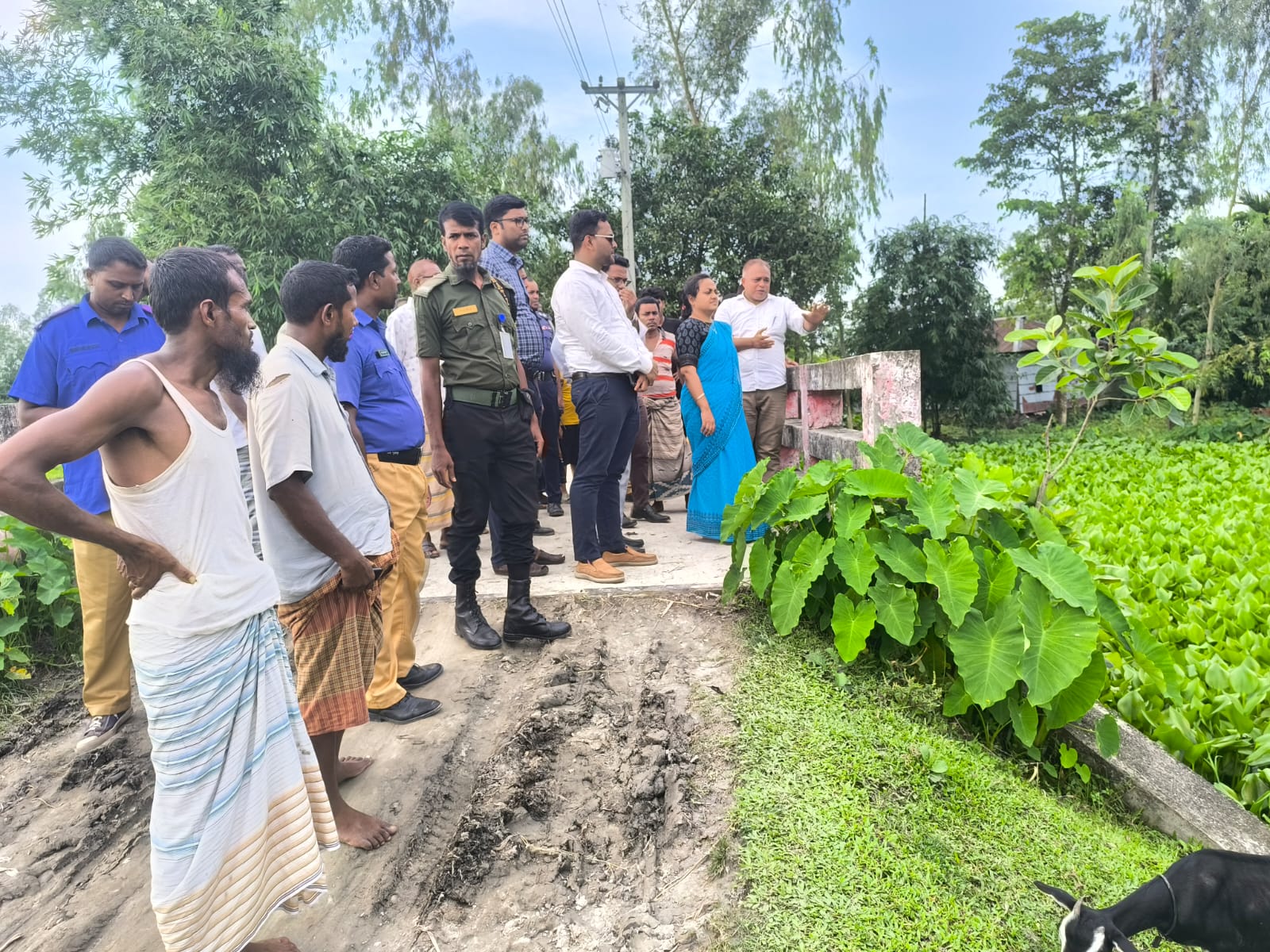 ১১নং কৈমারী মডেল ইউনিয়নের কৈমারীর দোলার পানী নিস্কাশনের খাল খনন কাজ ও ইউনিয়ন পরিষদ পরিদর্শন করেন উপজেলা নির্বাহী অফিসার জান্নাতুল ফেরদৌস হ্যাপি।