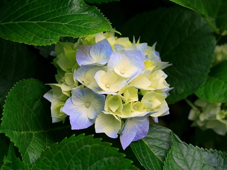 ফটো গ্যালারী 