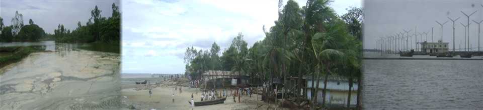 nodi vanga kutu
