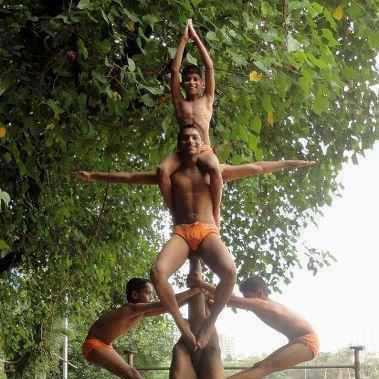 গাছের সাপ