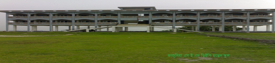কাজুলিয়া এসইএস মডেল স্কুল