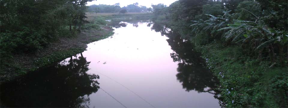 ব্যানার