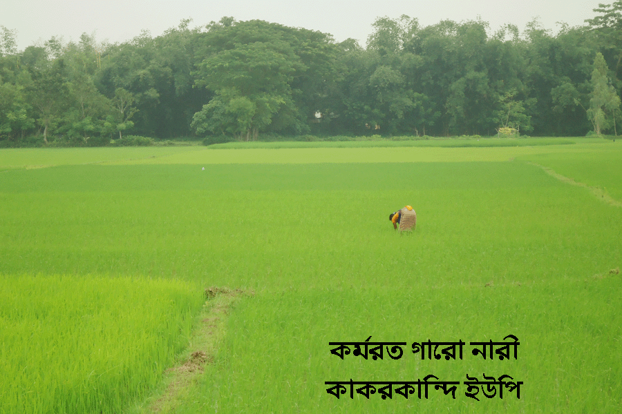 প্রাকৃতিক দৃশ্য