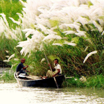 বিবিধ