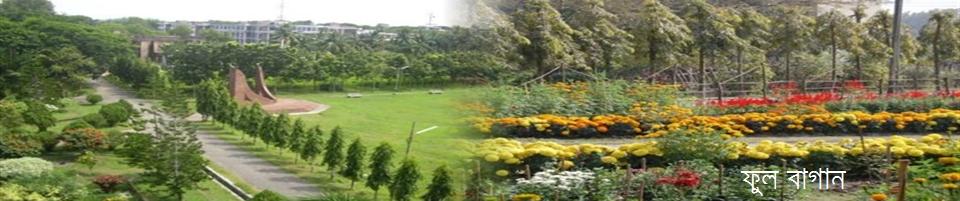 ফুল বাগান ।