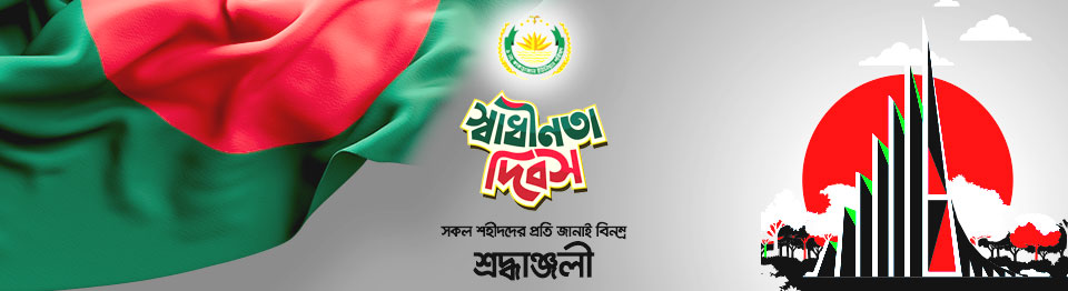 স্বাধীনতা দিবস