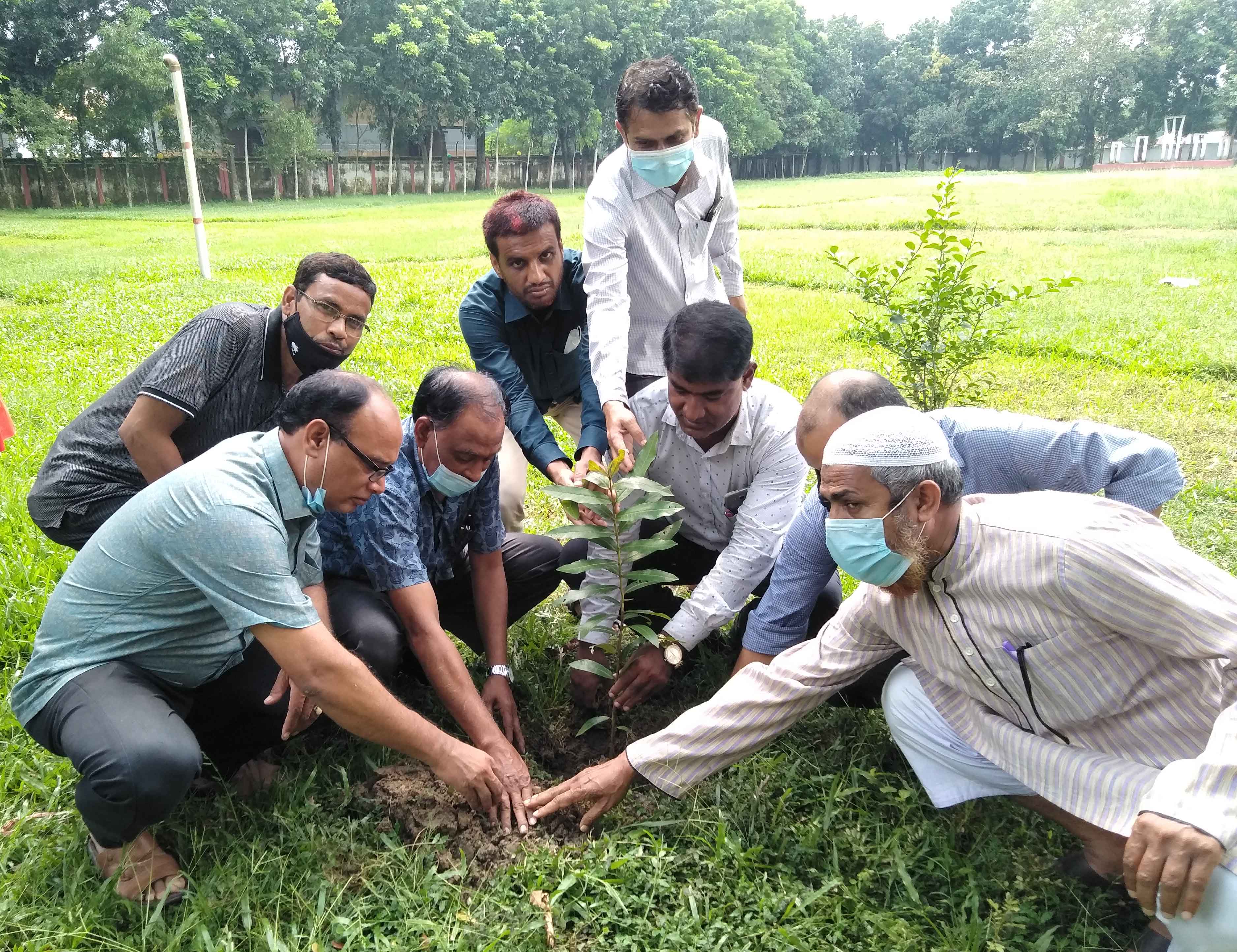 জাতীয় দিবসে বৃক্ষরোপণ