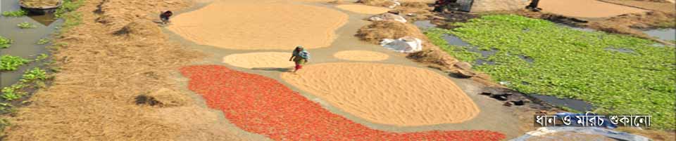 ৫নং কলাকান্দি ইউনিয়ন