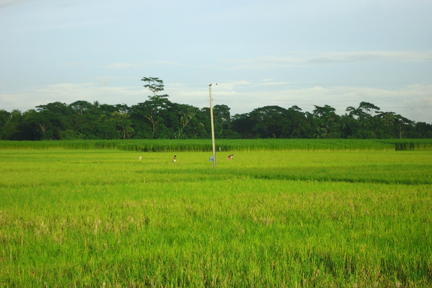 কালামৃধ‌া ইউনিয়রের
