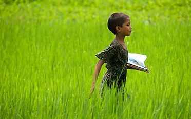 ভোটার হালনাগাত- ২০১৪