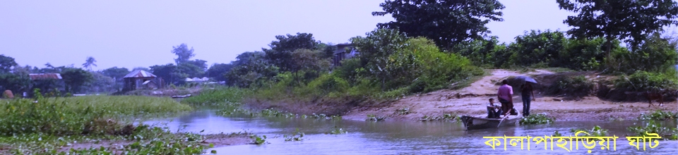 কালাপাহাড়িয়া ঘাট