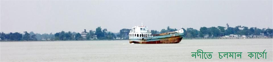 কালাপাহাড়িয়ার পাড় ঘেষে মেঘনা নদীতে মালামাল পরিবহন