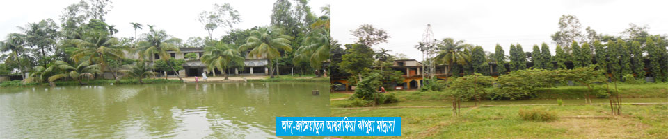 আল্ জামেয়াতুল আশ্বরাফিয়া ঝাপুয়া মাদ্রাসা