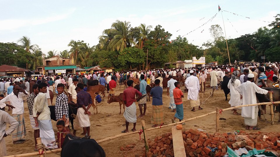 কালারমারছড়া গরুর বাজার