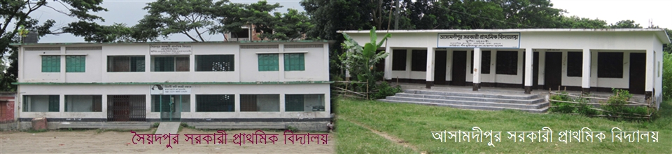কলাতিয়ার আসামদিপুর ও সৈয়দপুর স্কুল