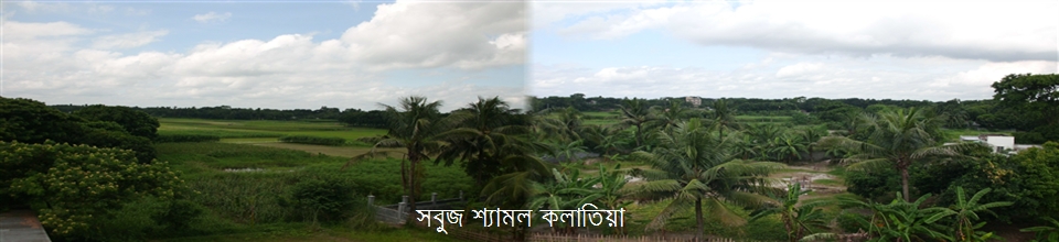 সবুজ শ্যামল কলাতিয়া