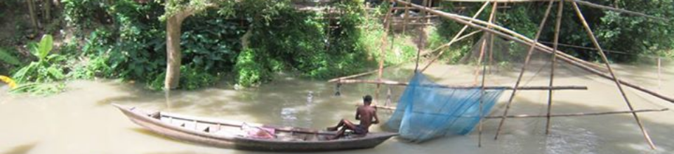 সবুজ শ্যামল কলাতিয়া
