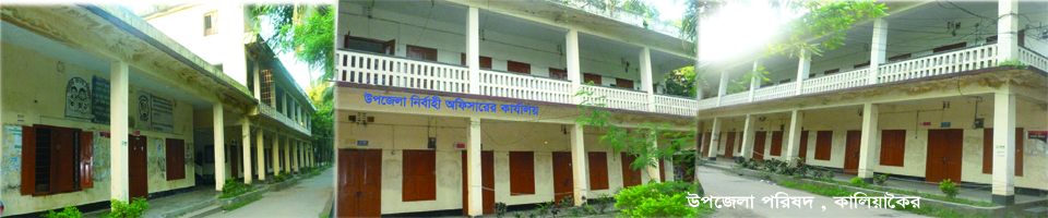 কালিয়াকৈর