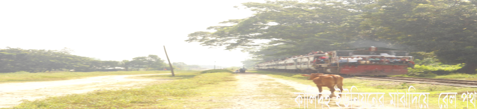 রেলপথ